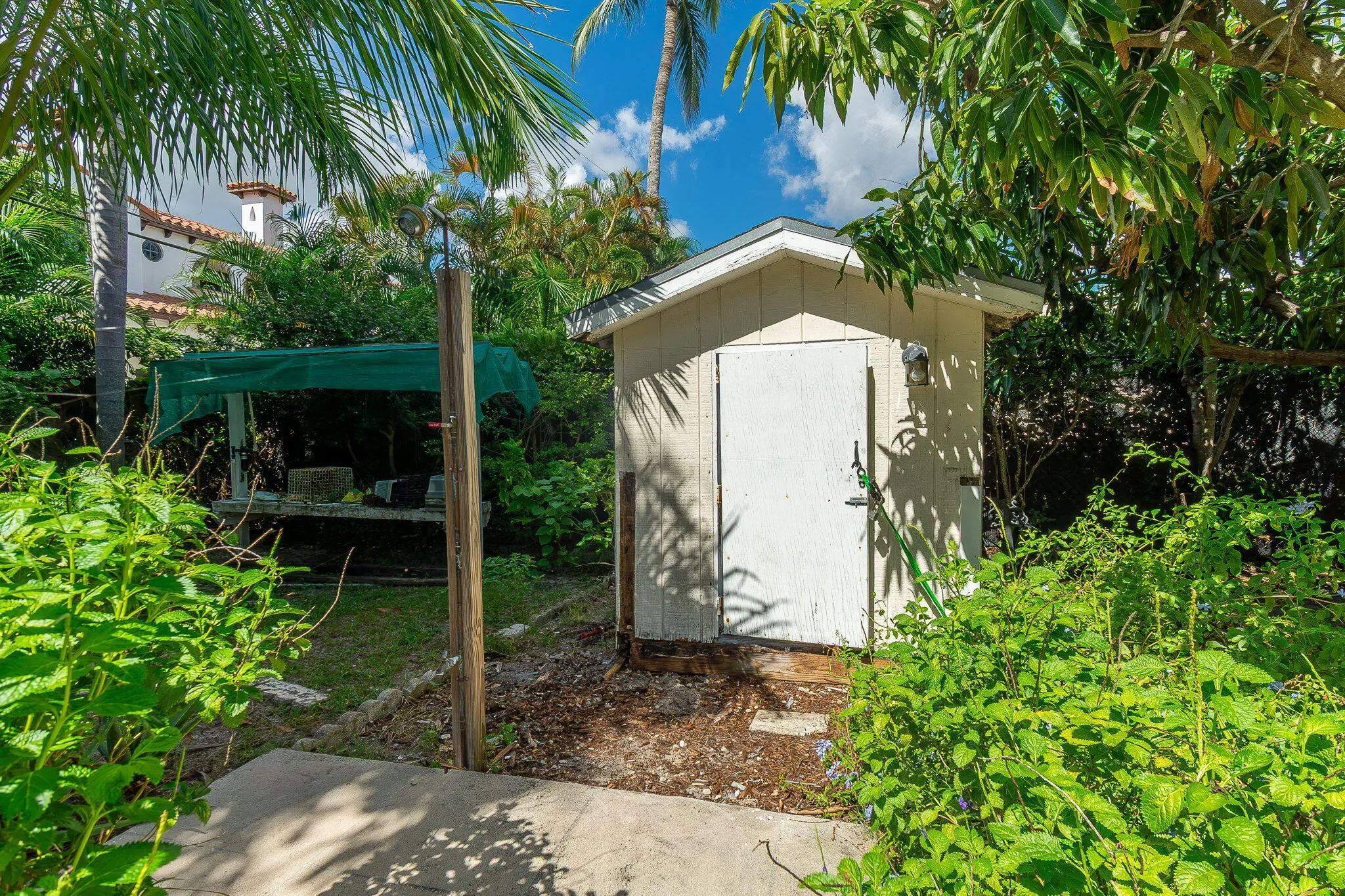 50-web-or-mls-DSC08546