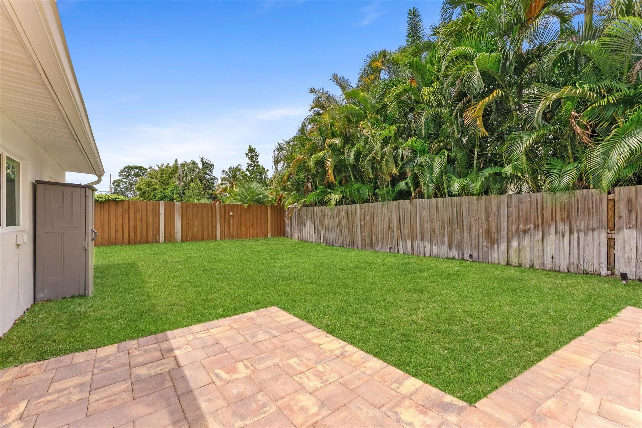 backyard