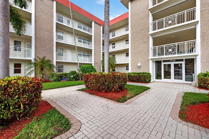 49-web-or-mls-699A3451
