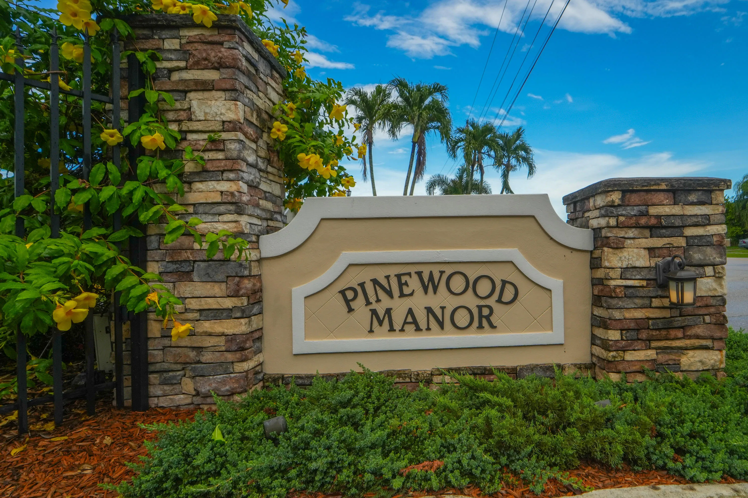 301 Knotty wood-27