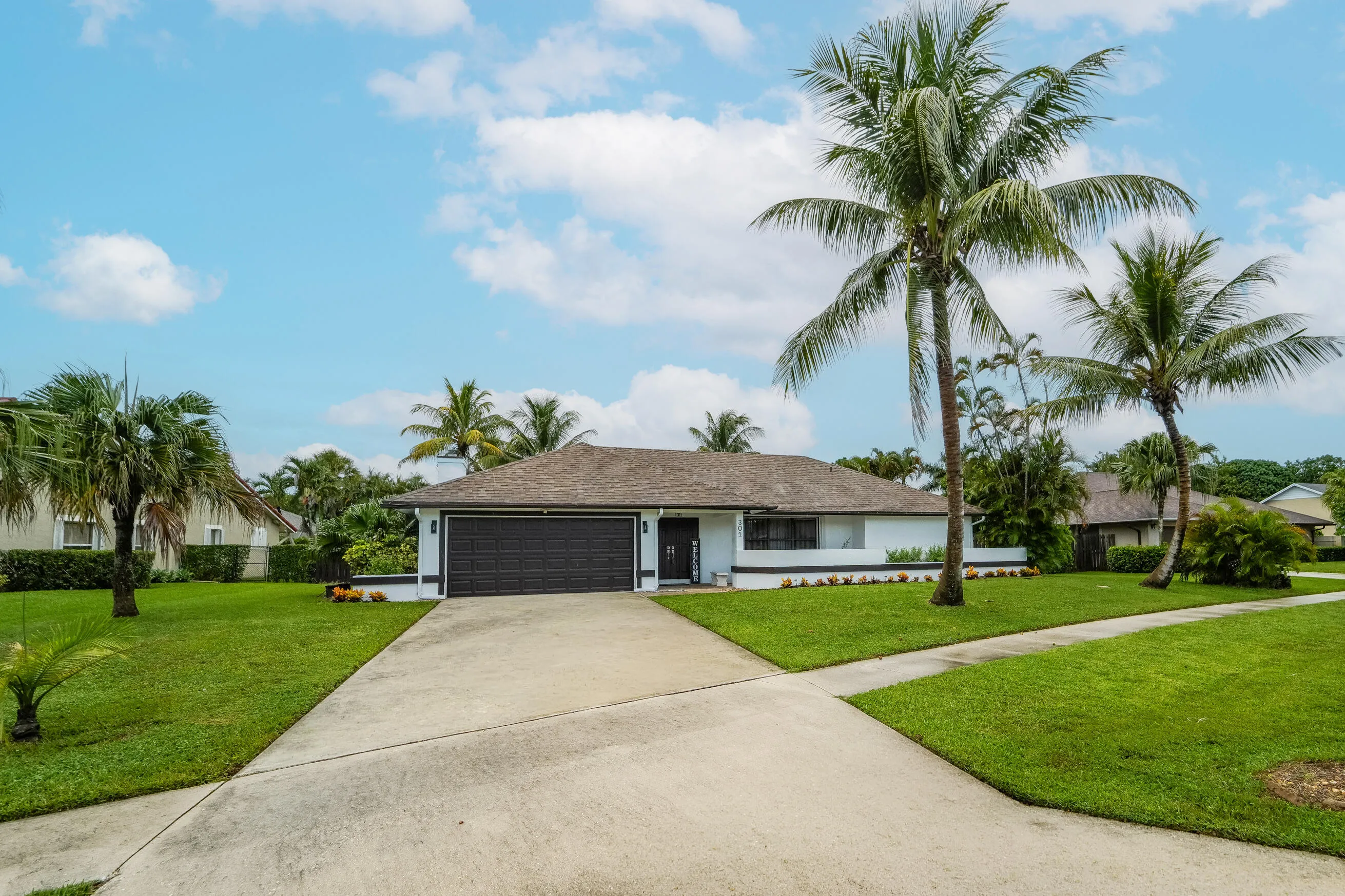 301 Knotty wood-22