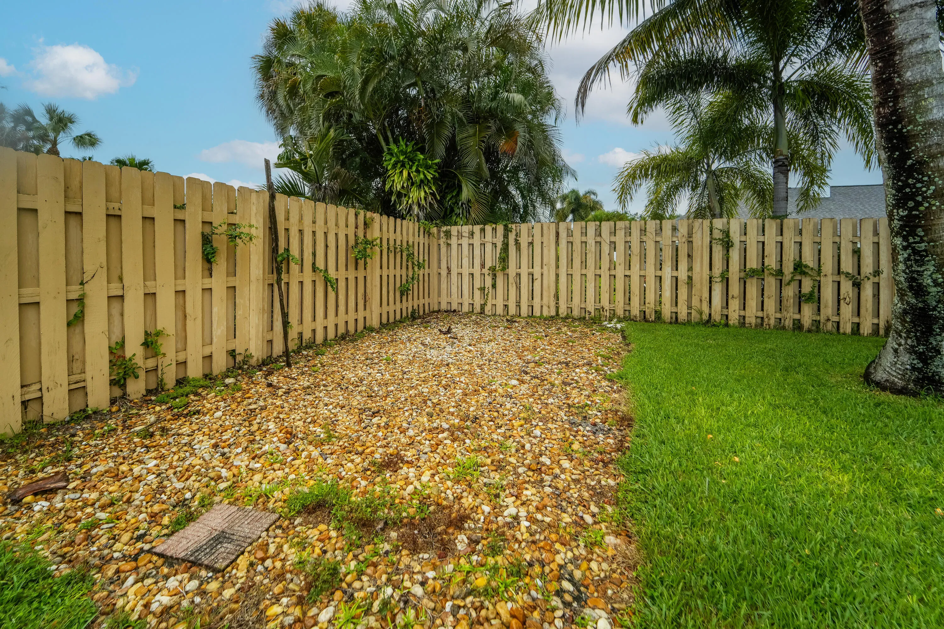 301 Knotty wood-18