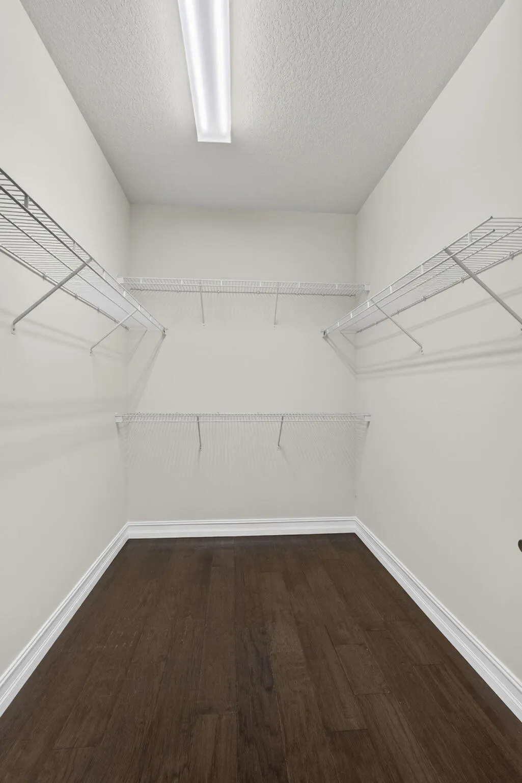 69-web-or-mls-BS1A8513