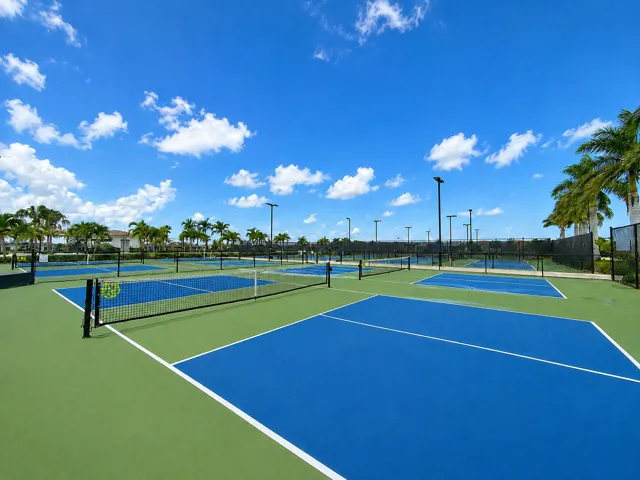 #33- Commmunity pickleball and tennies