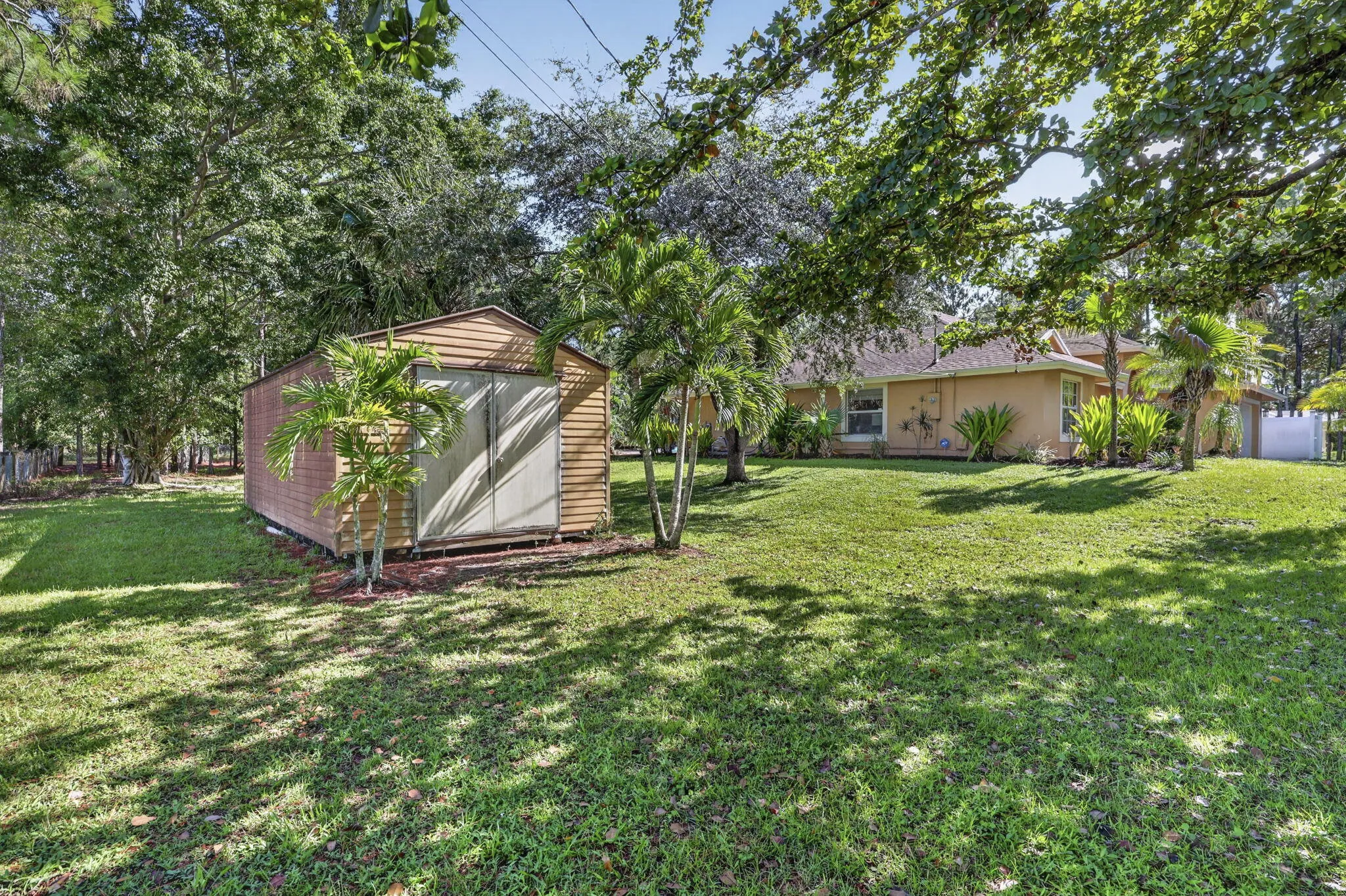 7-web-or-mls-BS1A9693