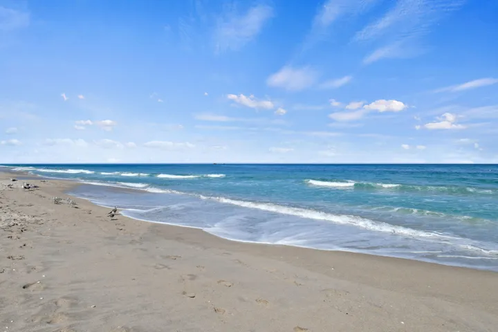 The Atlantic Ocean