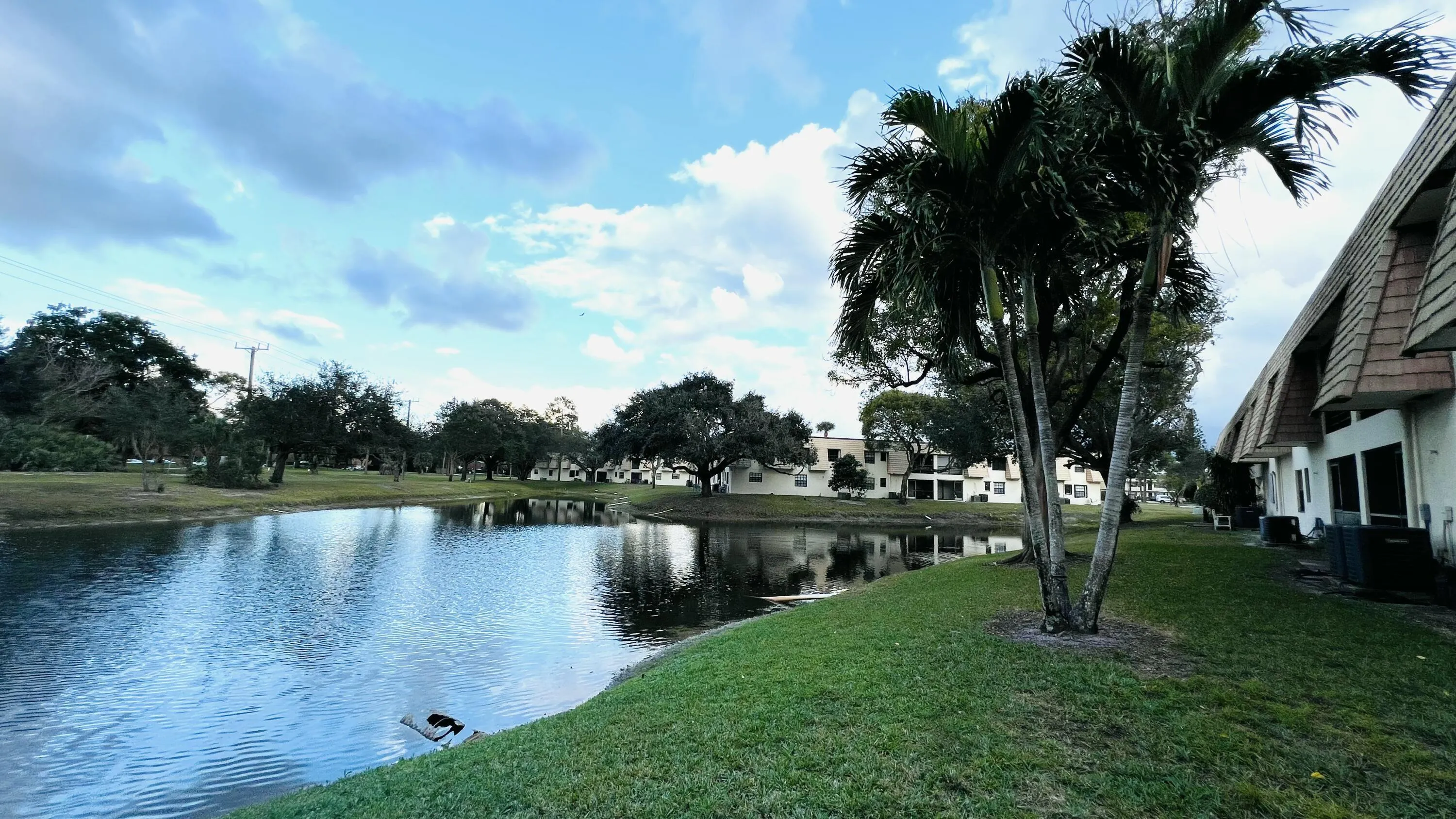 Waterfront property featuring a grassy lawn, mature palm trees, and residential buildings with sloped roofs