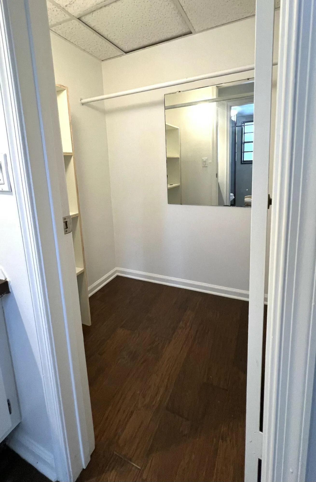 Hardwood-style flooring with built-in shelving, a garment rod, and a wall-mounted mirror