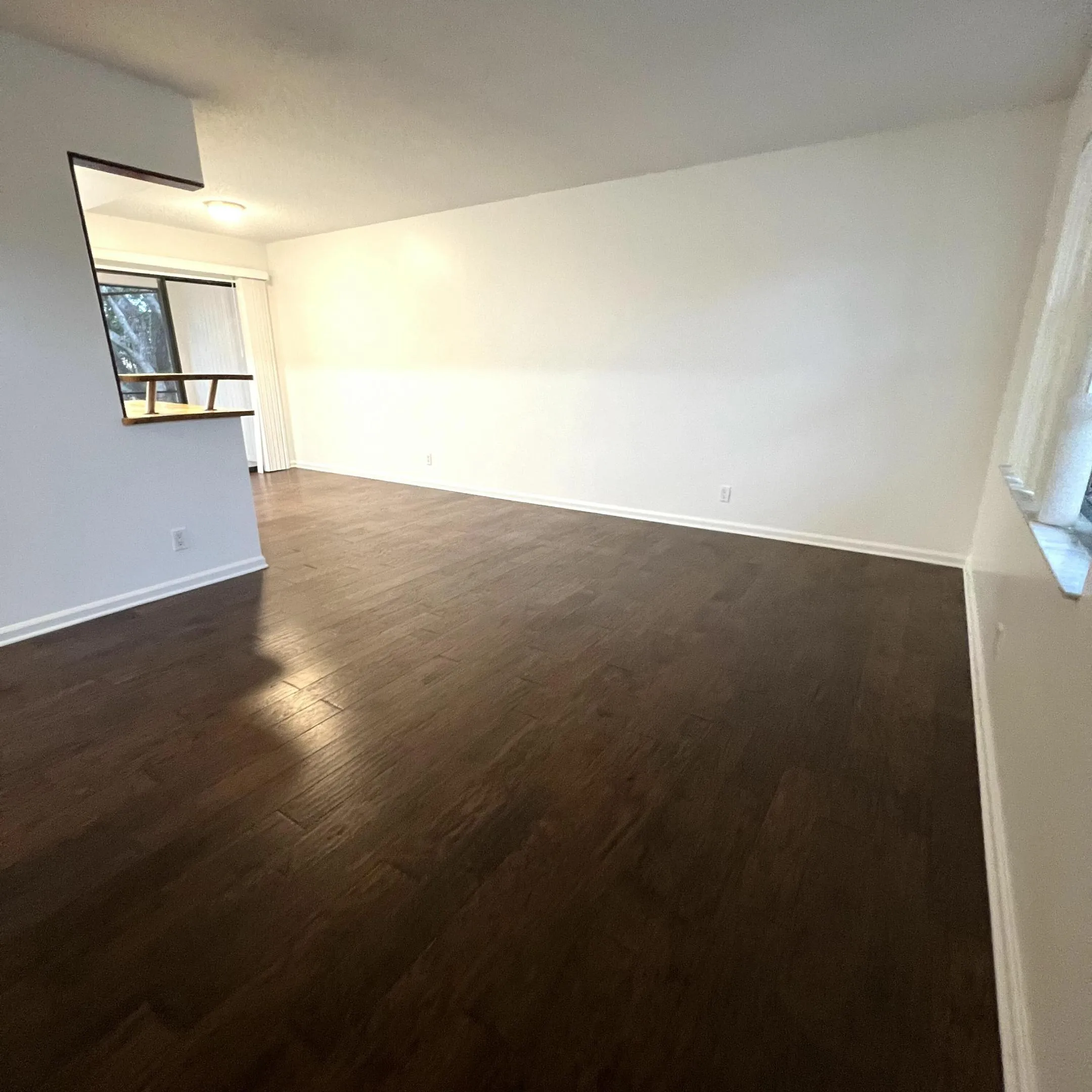 Expansive room with dark wood-finish flooring, white walls, and a large window
