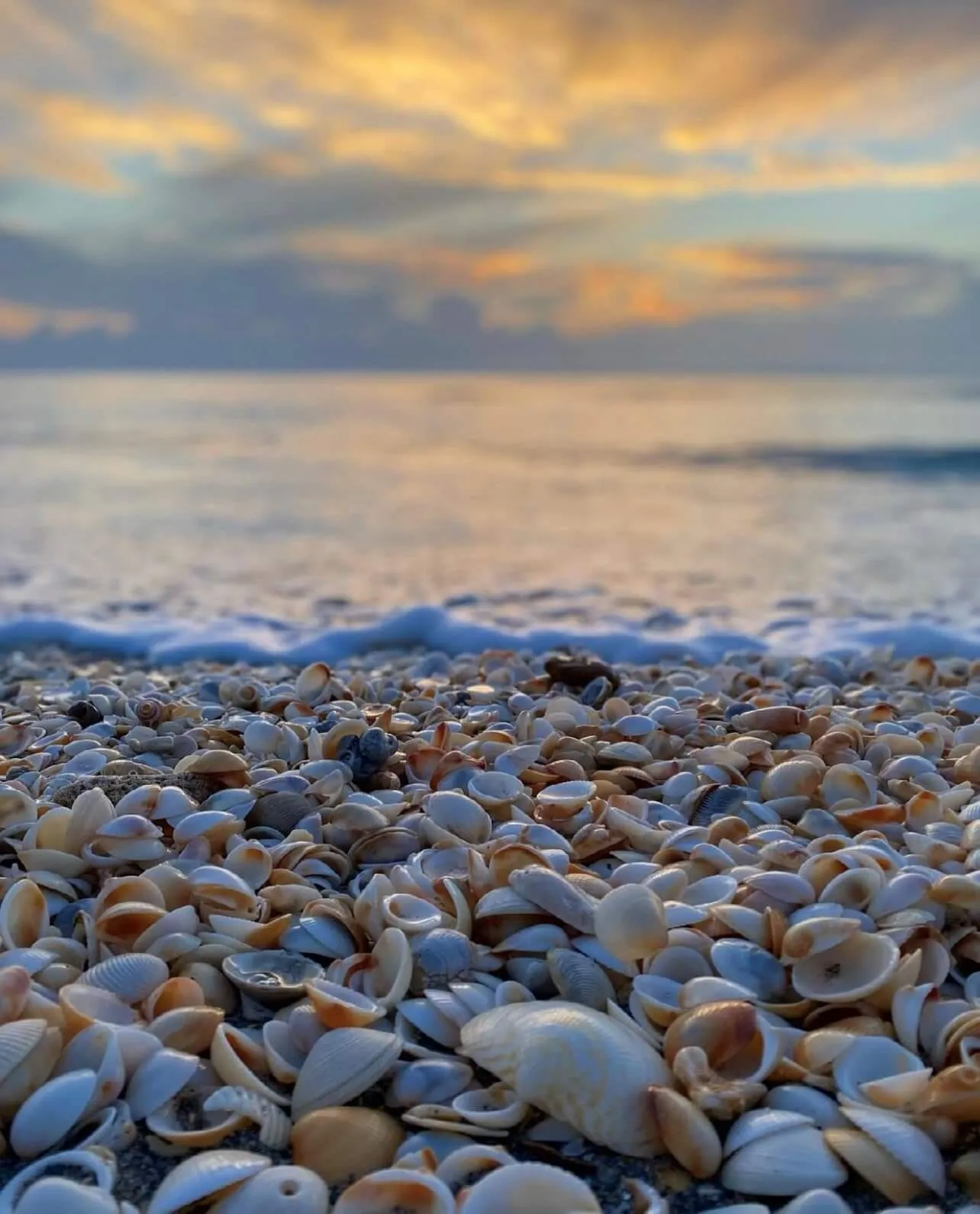 Jupiter beach 3