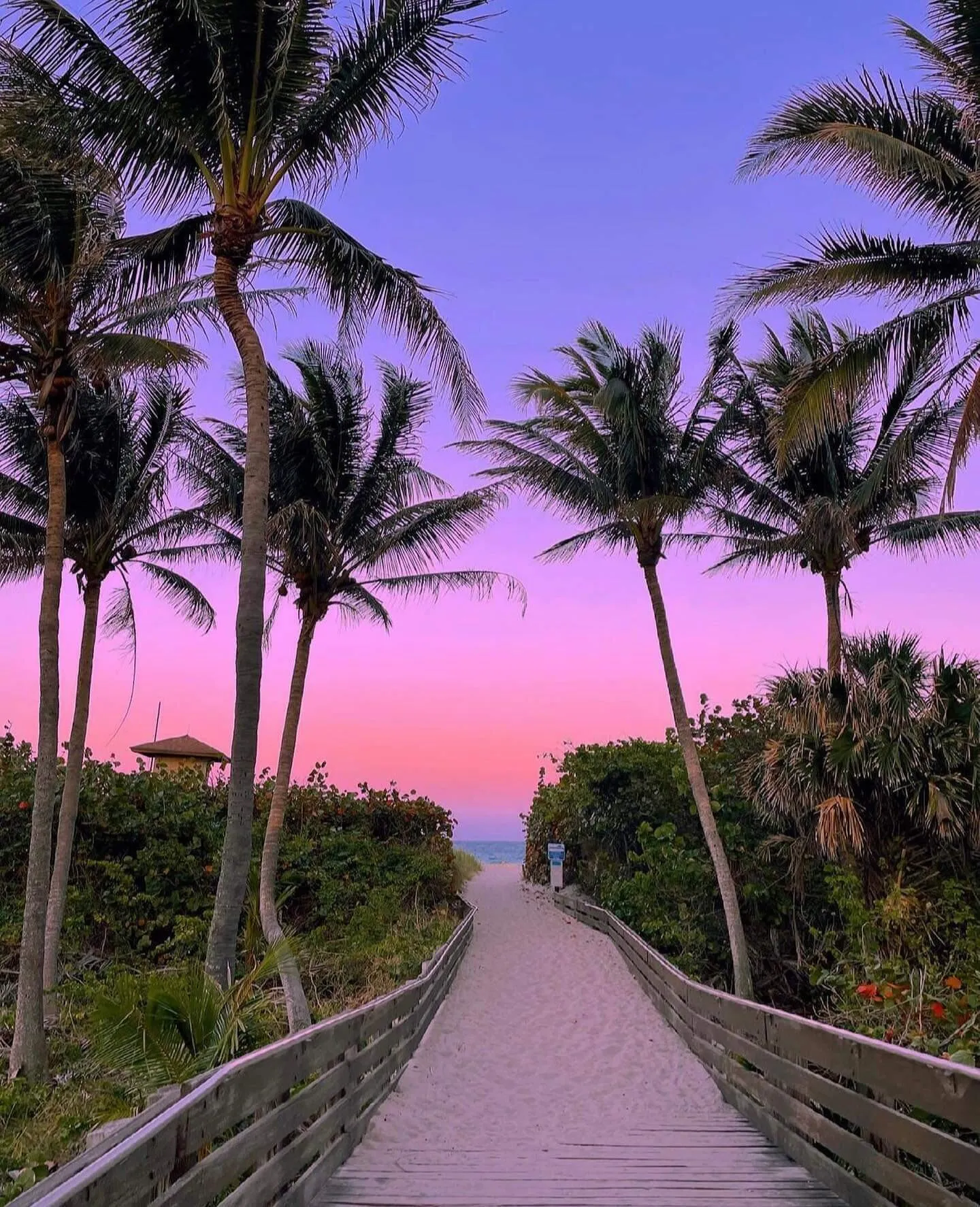 Jupiter beach 4