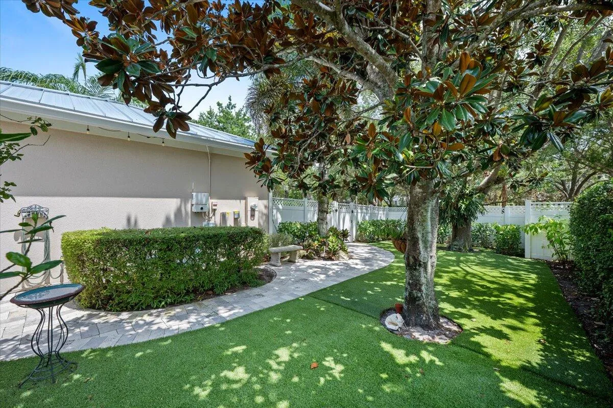All turf grass keeps yard clean and so easy to maintain