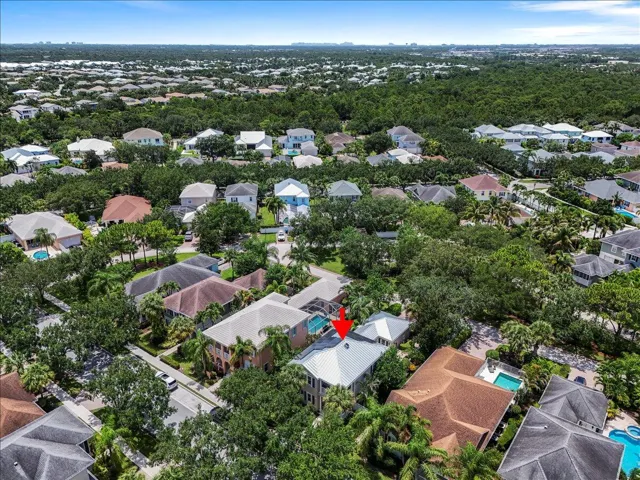 Aerial View of the Community