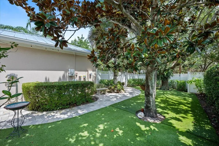 All turf grass keeps yard clean and so easy to maintain
