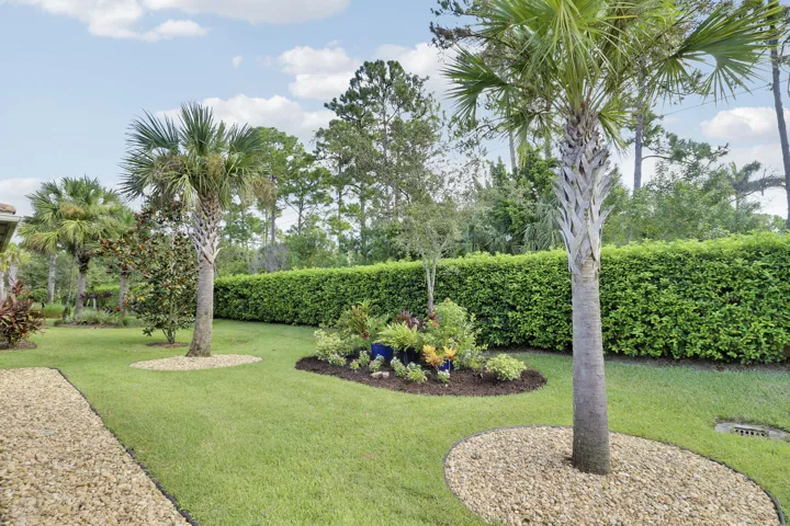 Garden view