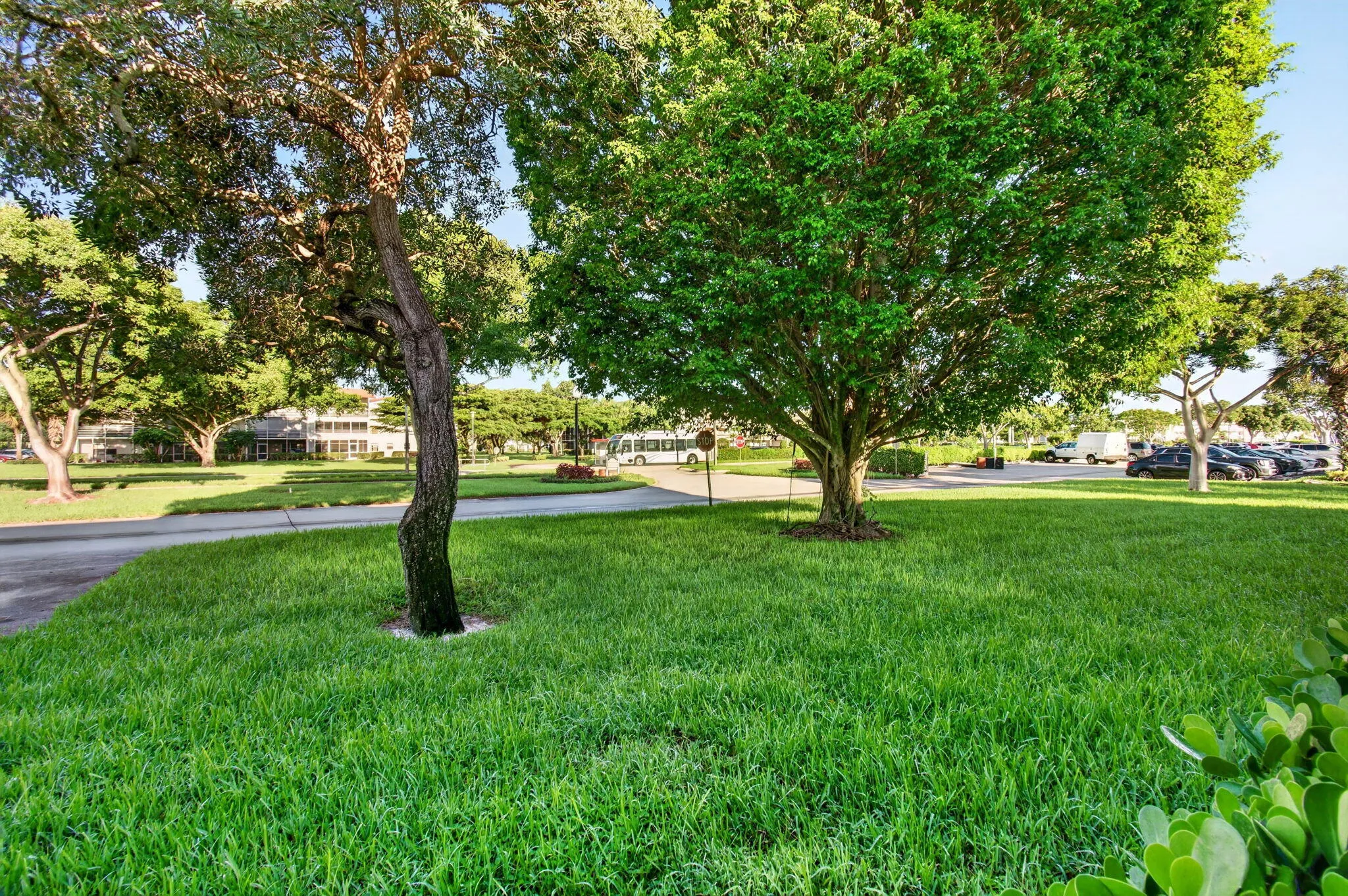 46-web-or-mls-DSC_8915