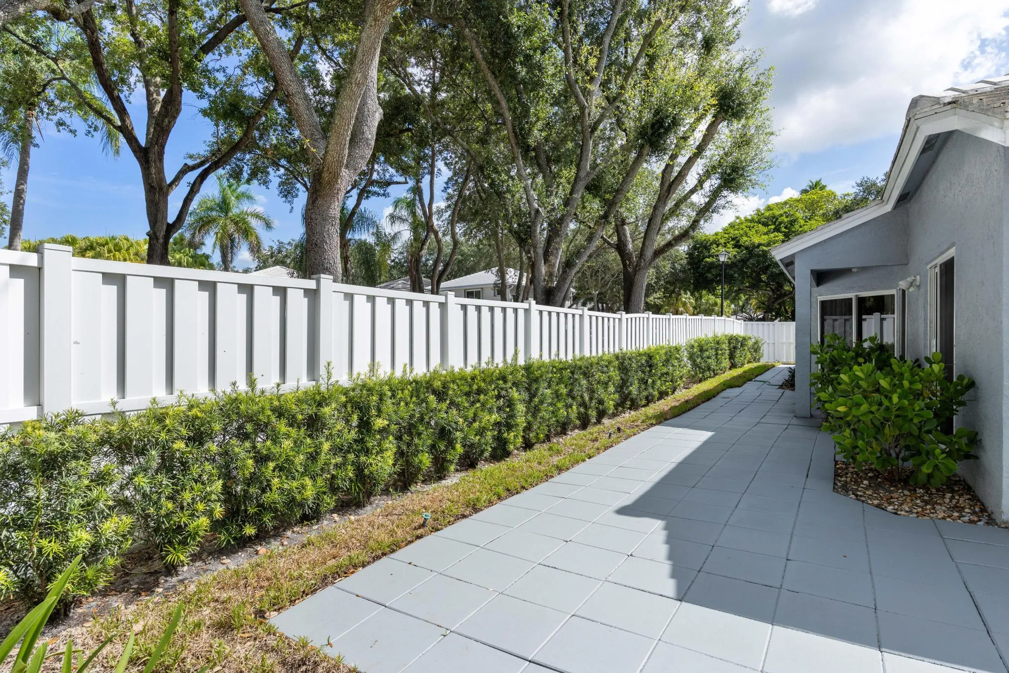 9822 backyard 3