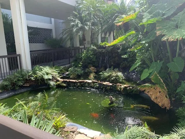 Koi Pond