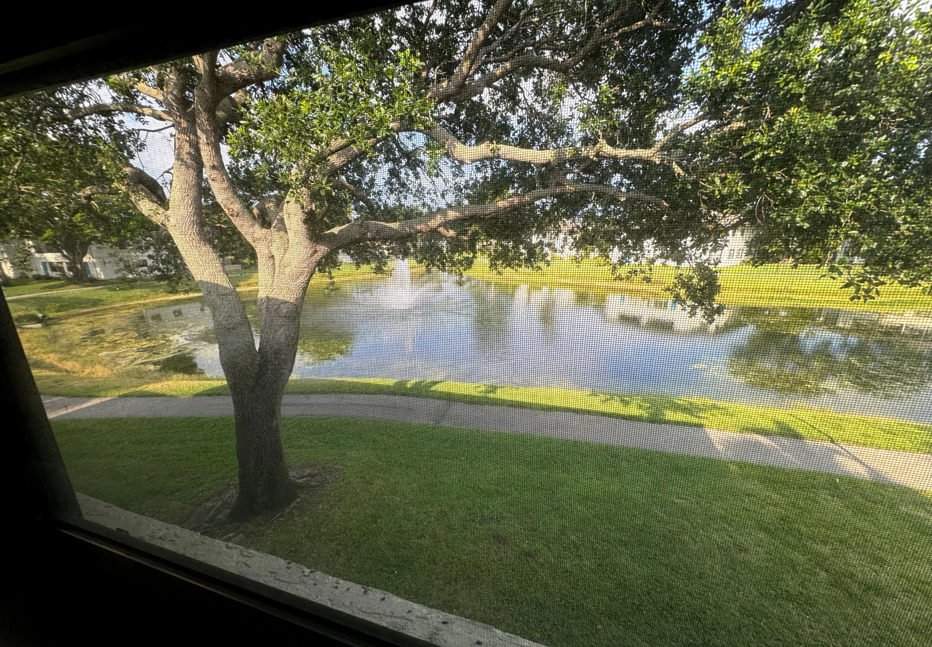 Lake Views