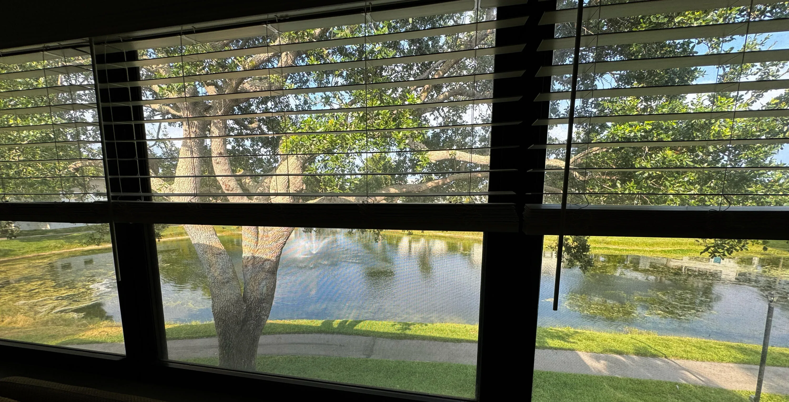 Lake Views
