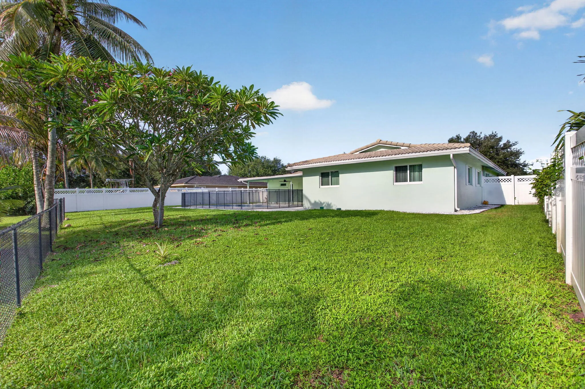 Expansive grassy yard with a chain-link fence, mature tree, and privacy fencing