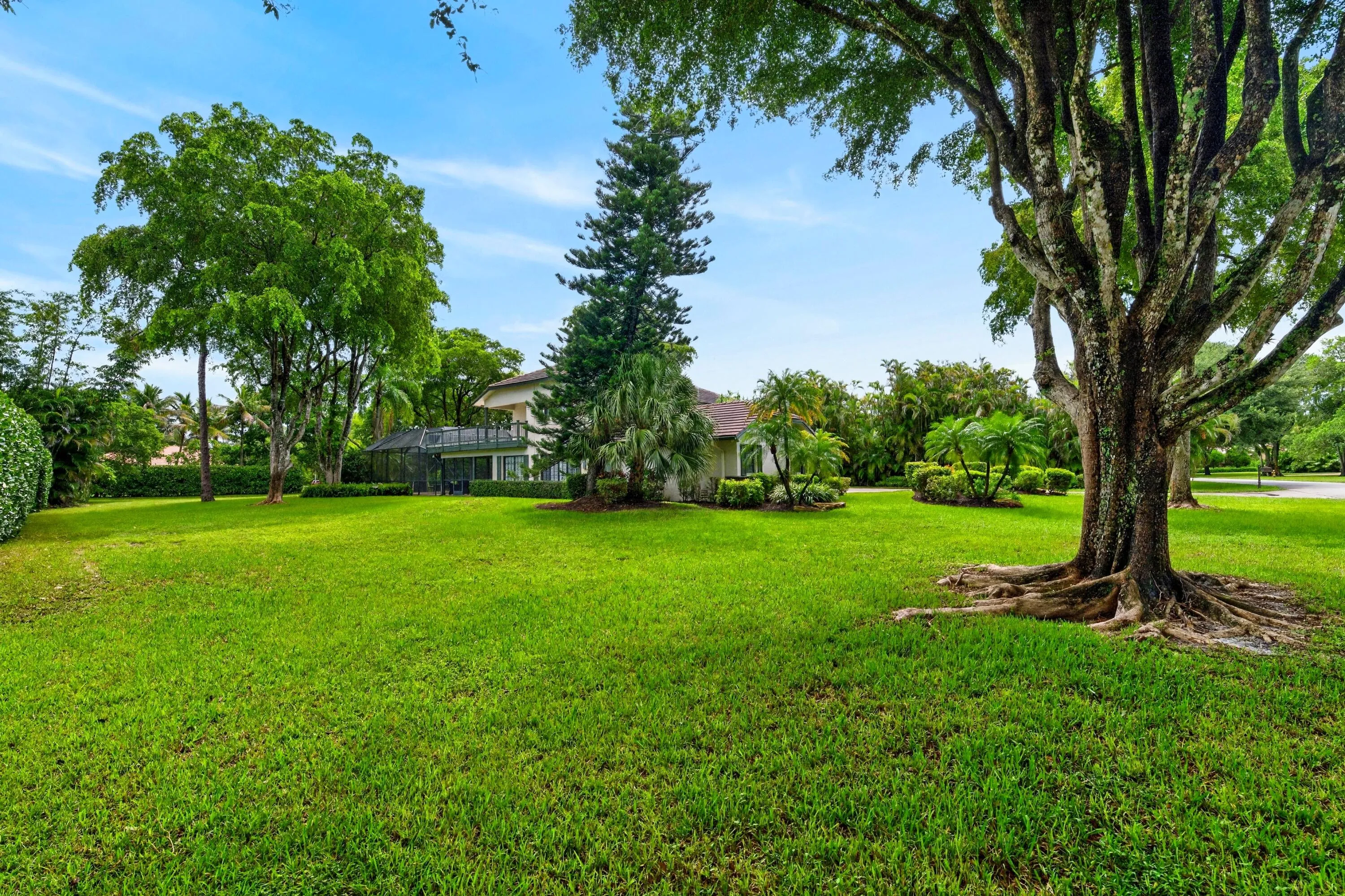 062-042-Back Yard-4000x2666