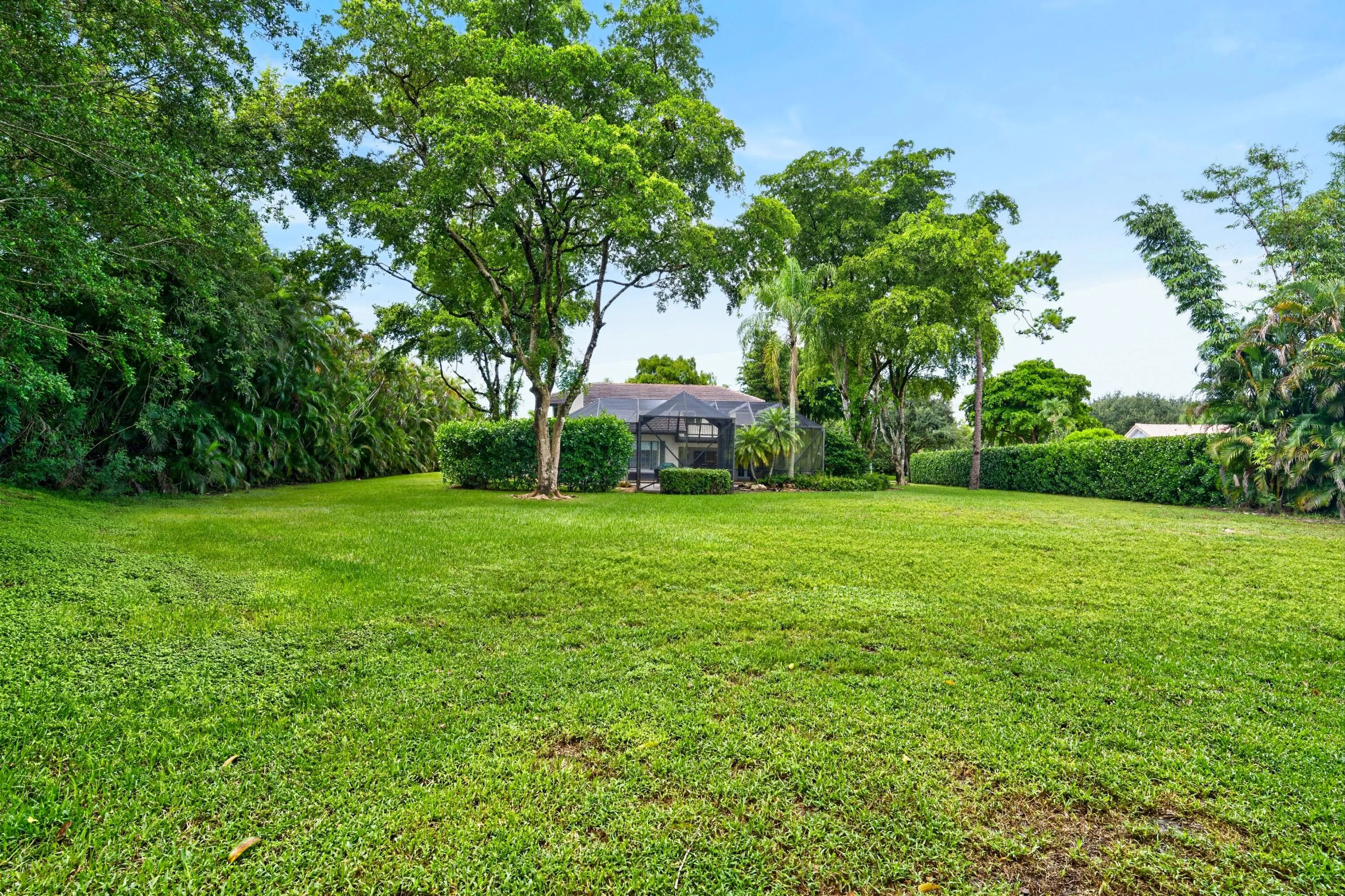 060-049-Back Yard-4000x2666