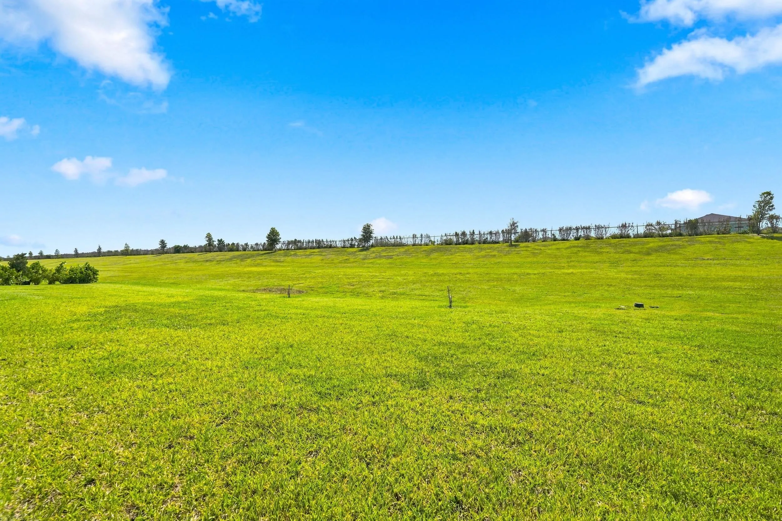 Property photo 47
