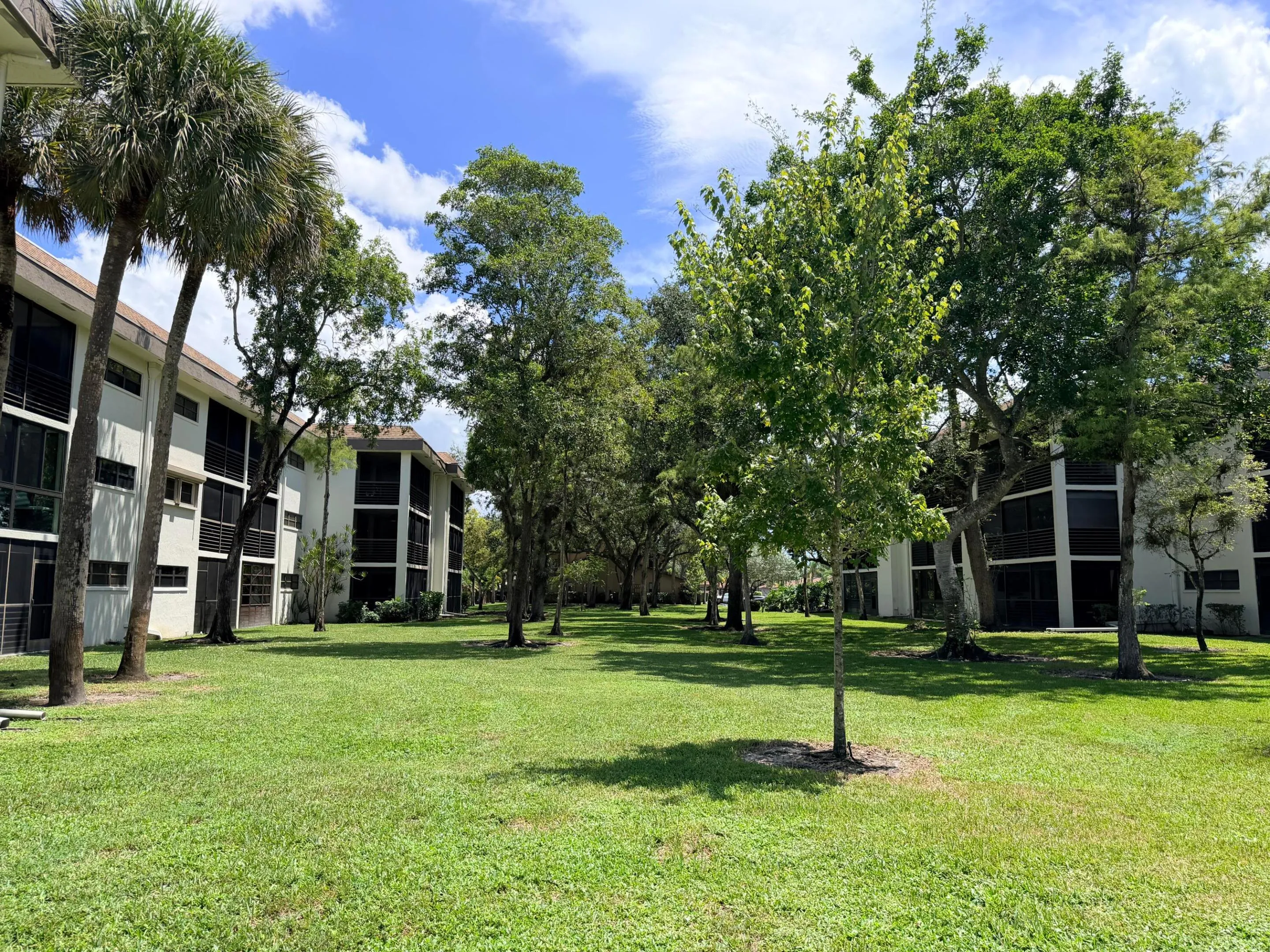 Grounds