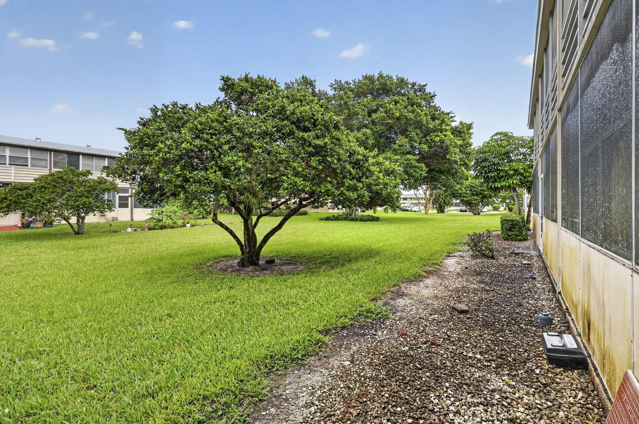 28-web-or-mls-BS1A9403