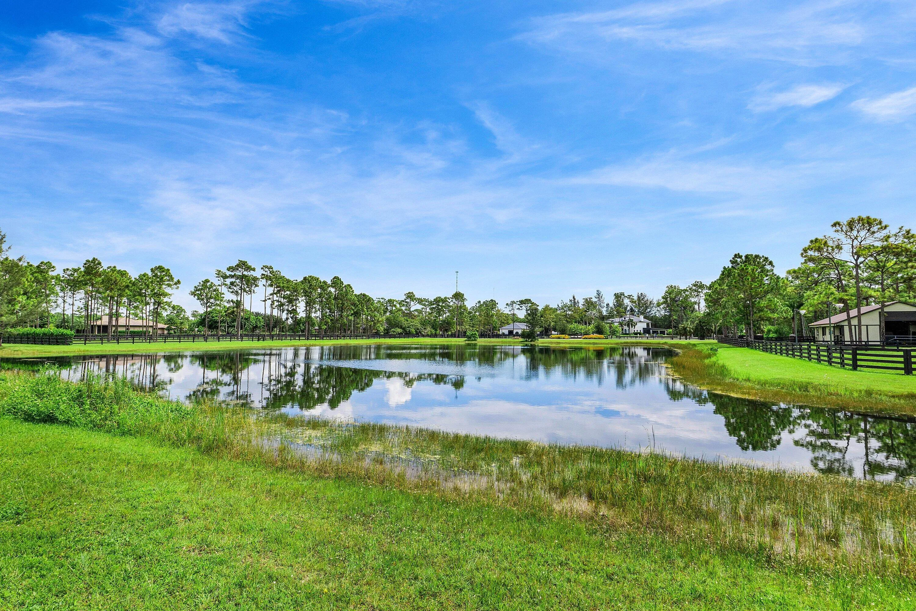 Expansive natural pond surrounded by lush green landscaping and mature pine trees