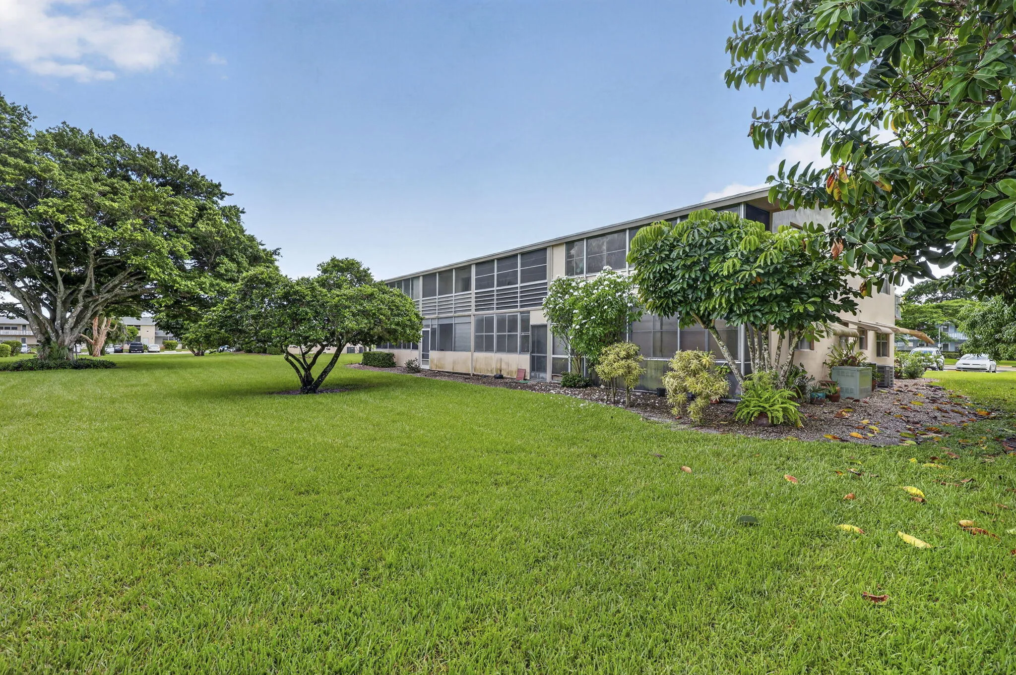31-web-or-mls-BS1A9418