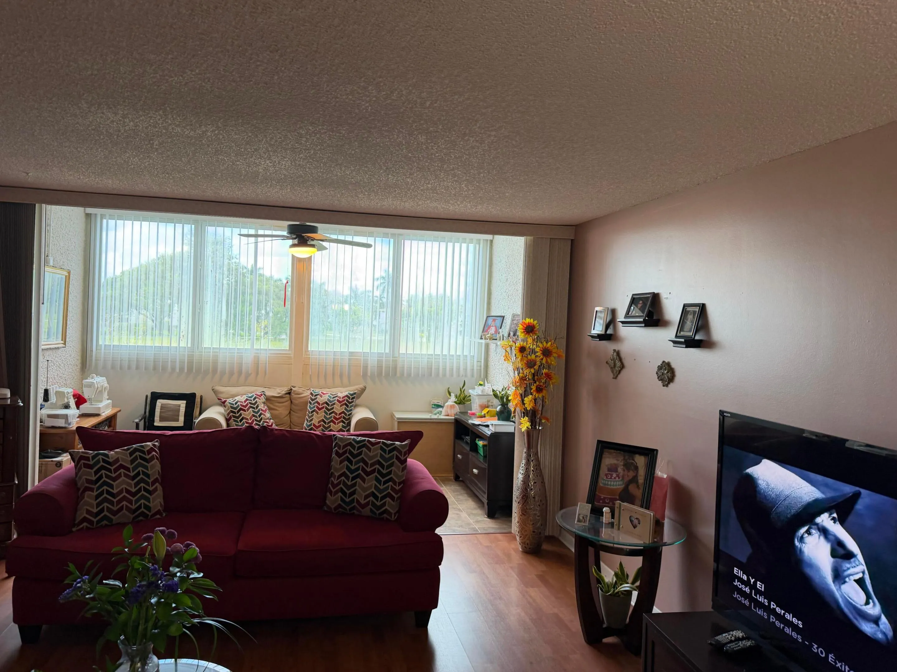 Living room w/ laminate floors