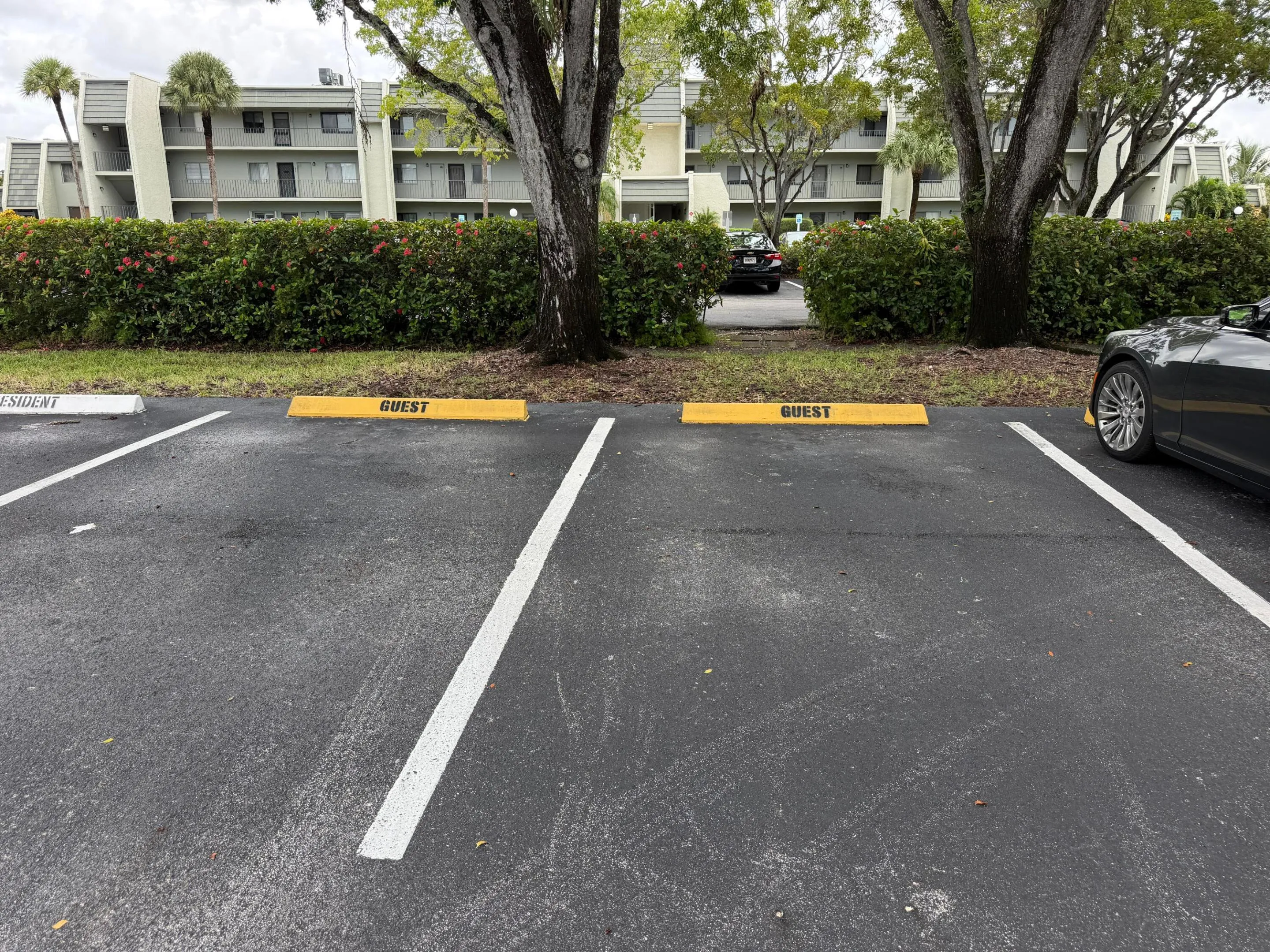 Ample guest parking