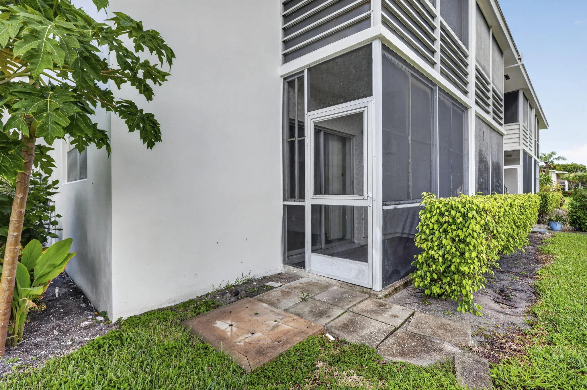 35-web-or-mls-BS1A9648