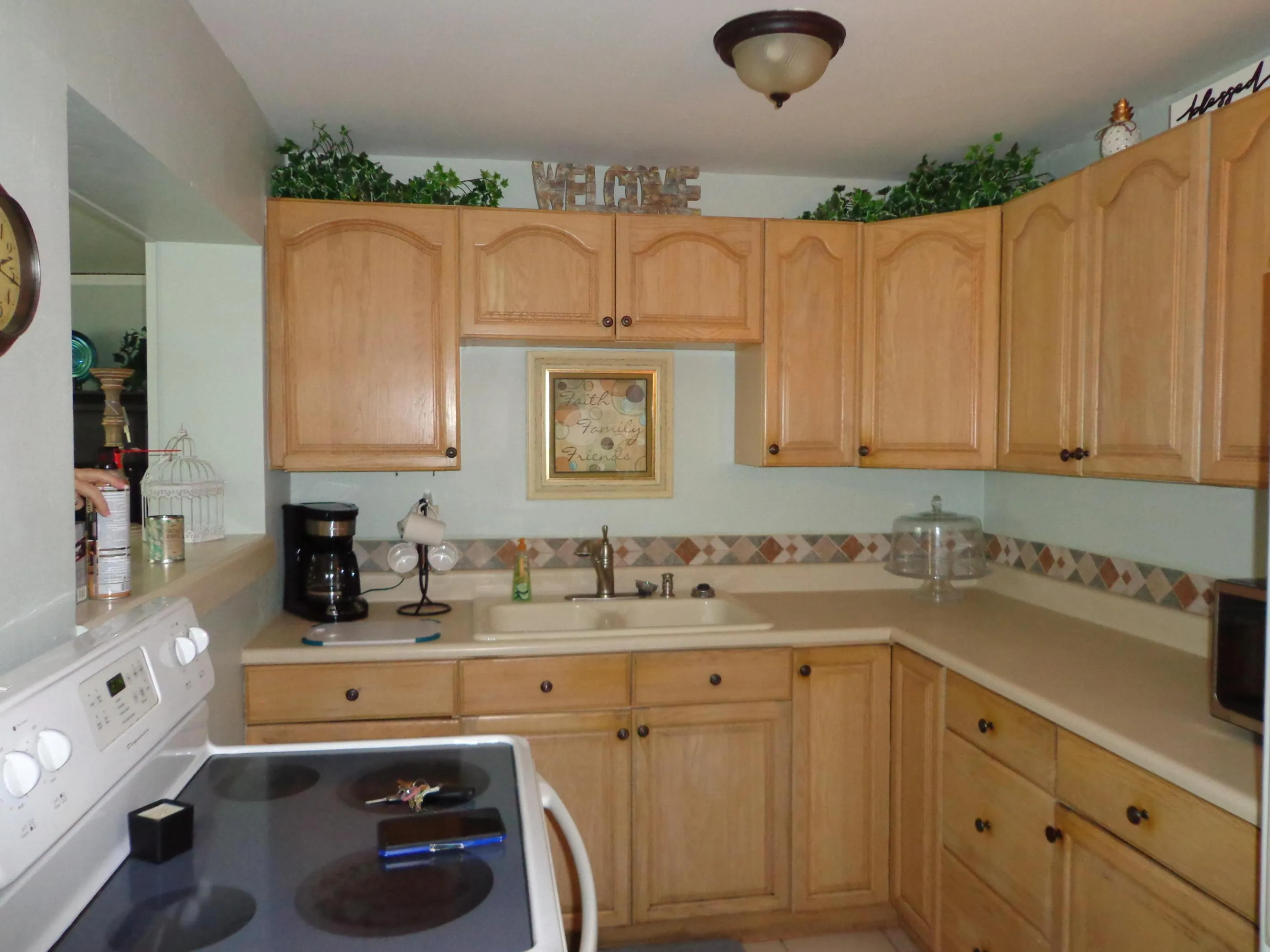 11751 Oleander Drive 007