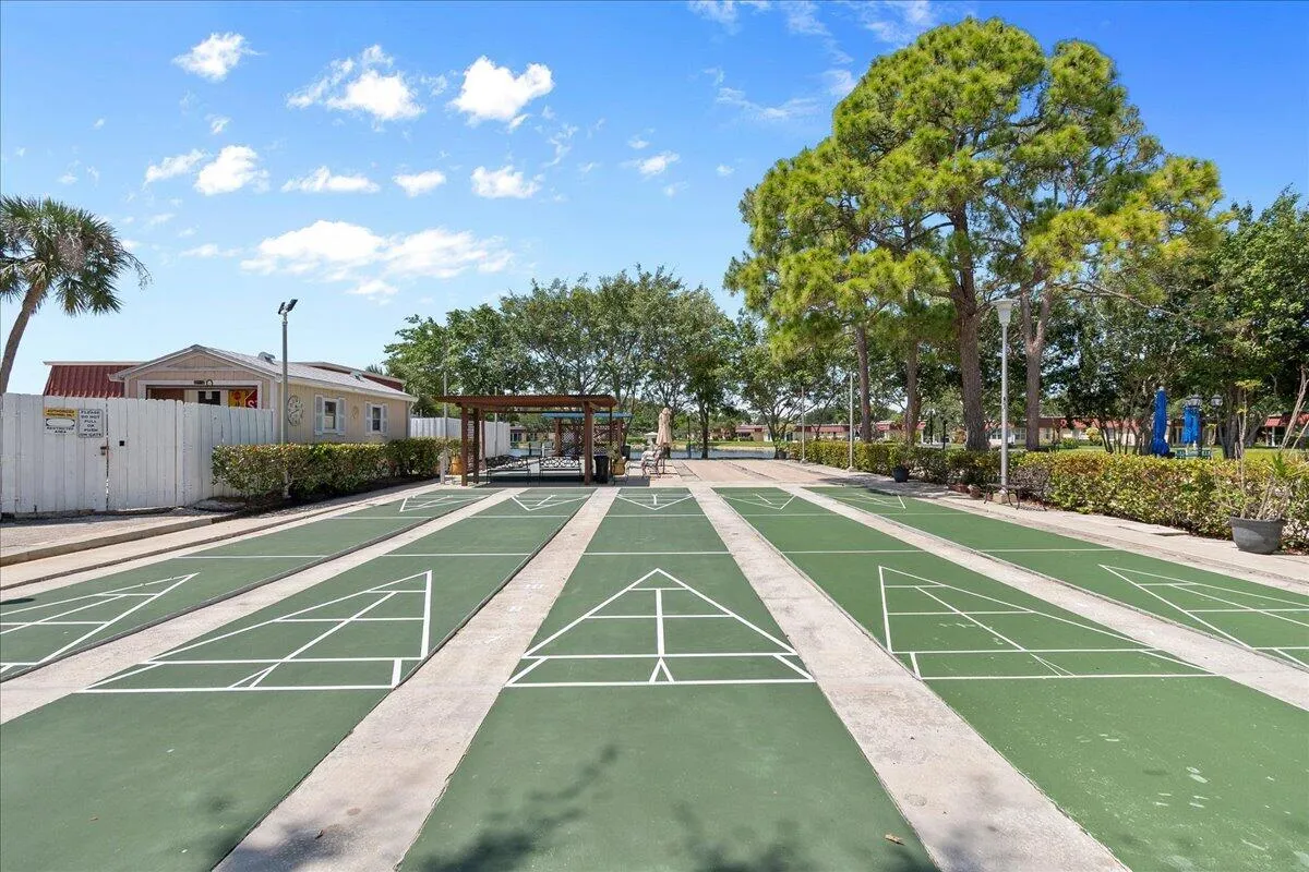 Shuffleboard