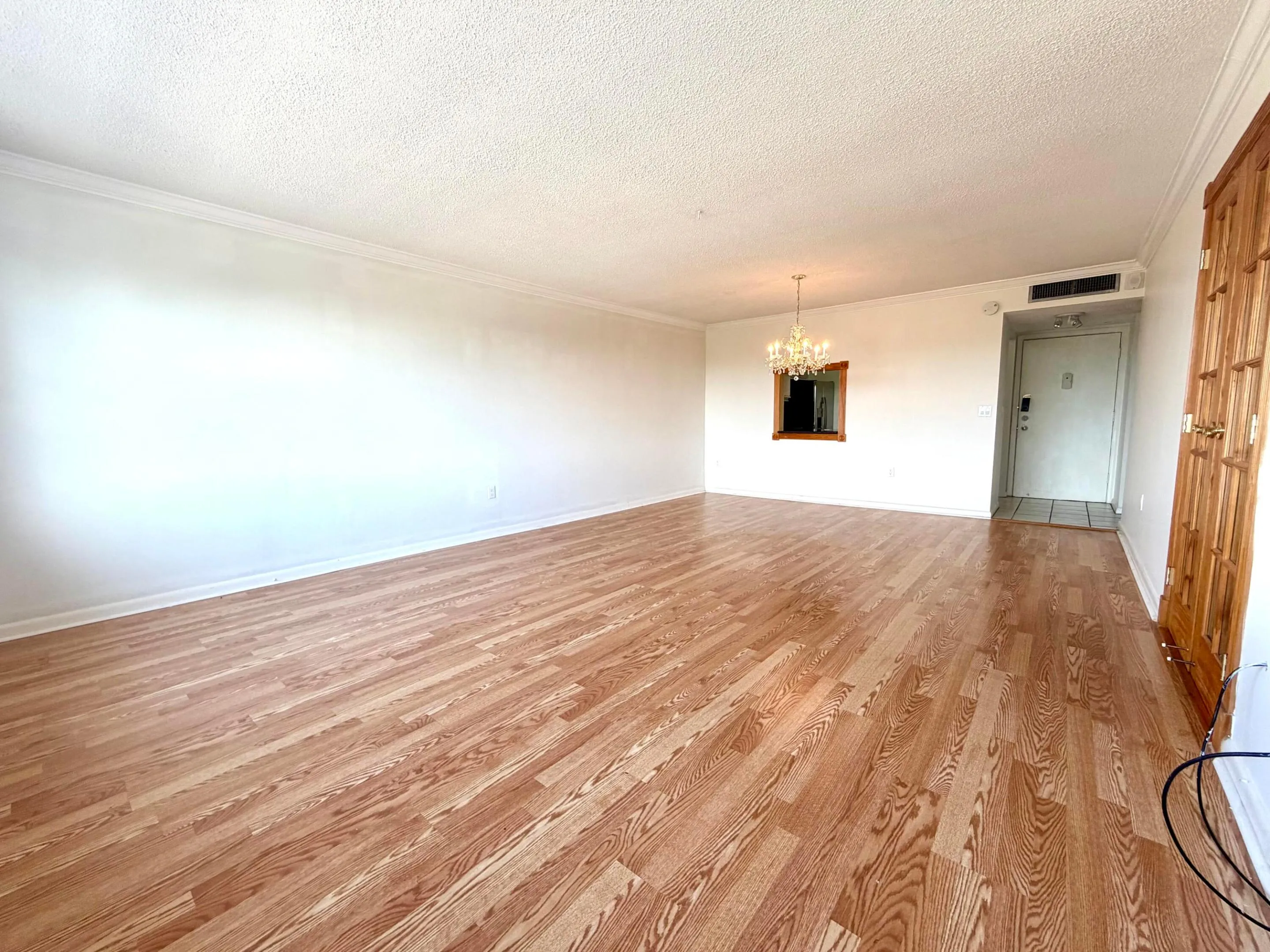 MASSIVE LIVING AREA