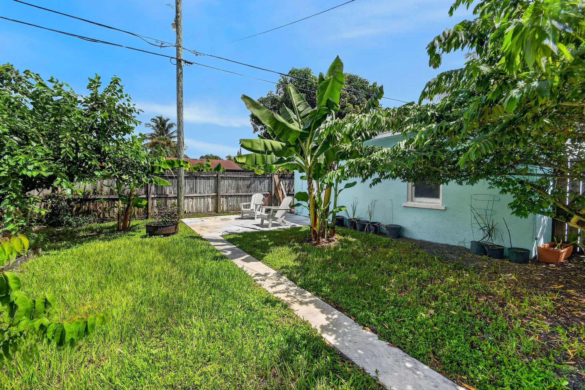 Active Fruit Trees & Garden Space