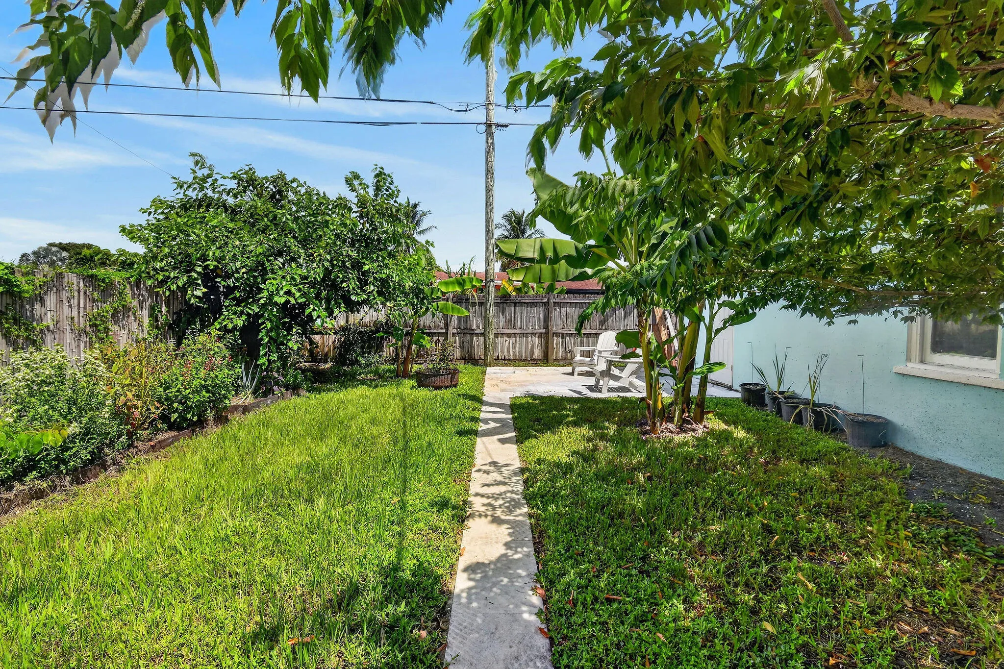 Active Fruit Trees & Garden Space