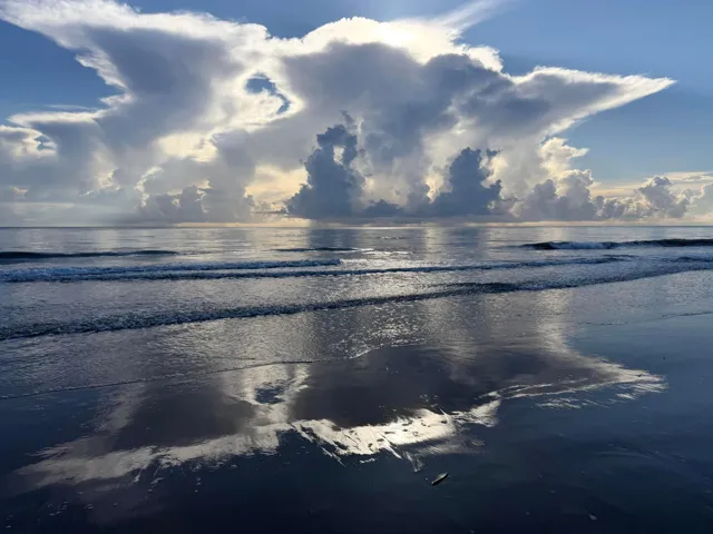 Ocean