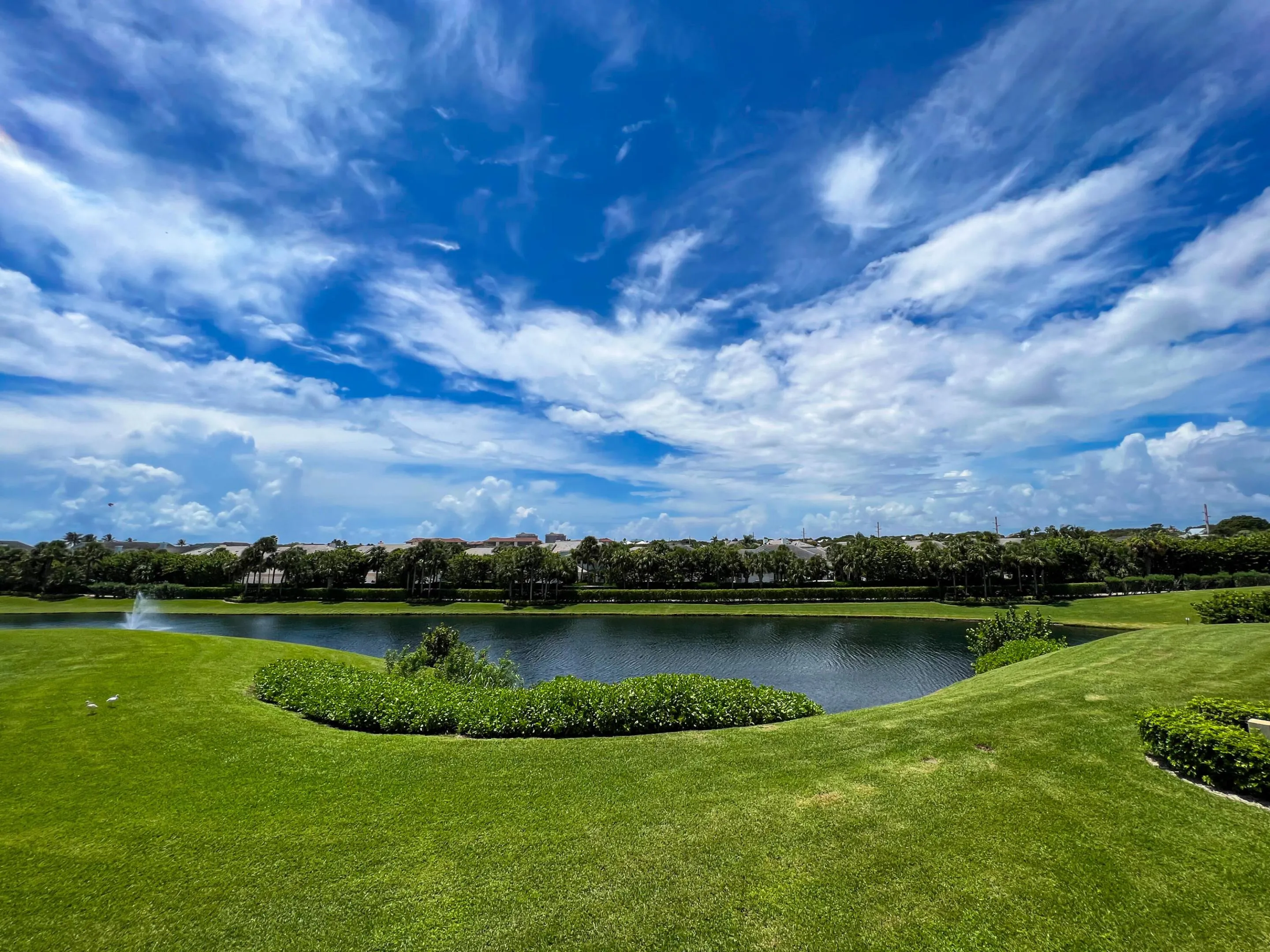 IMG_7714
