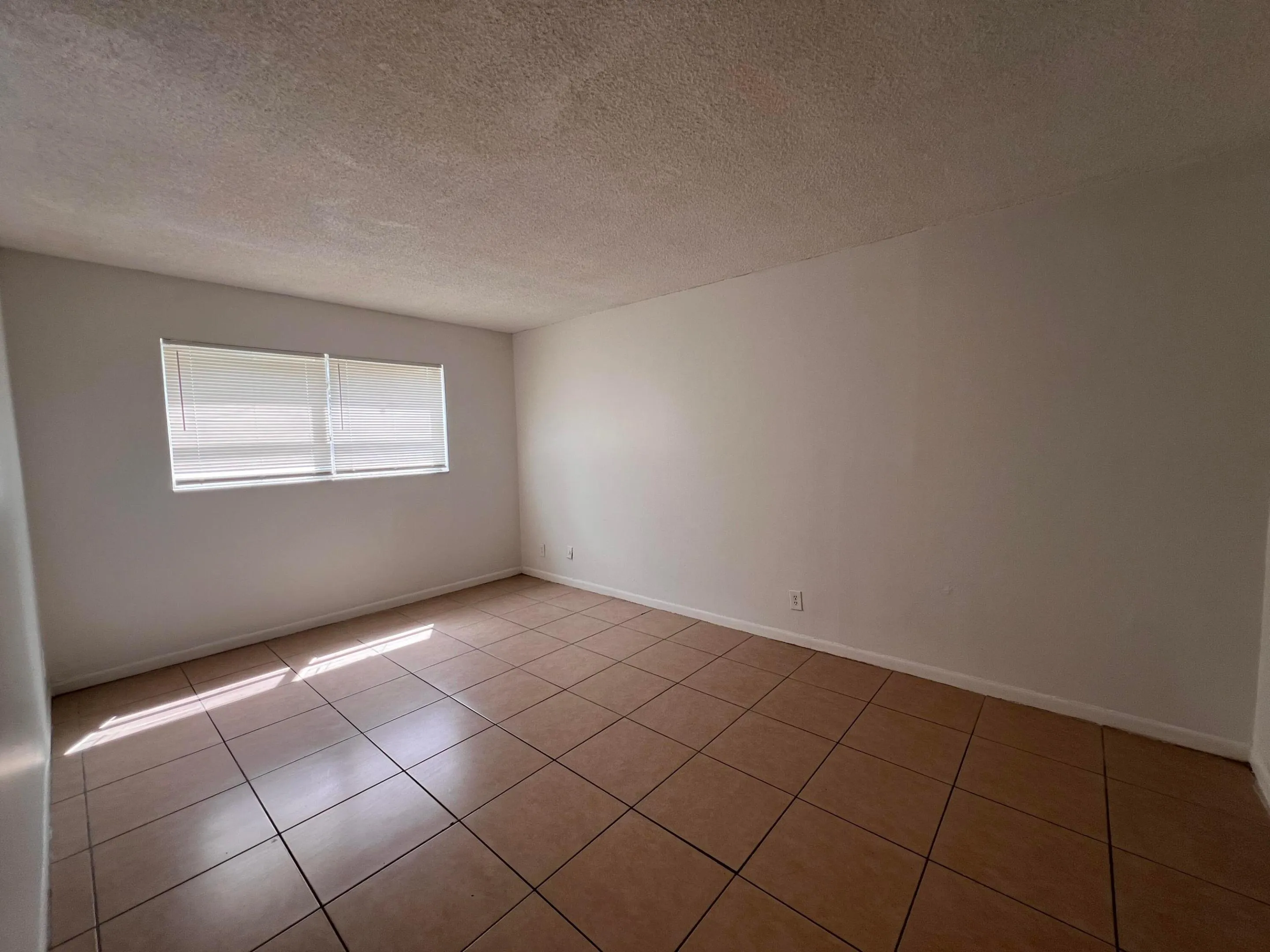 IMG_5476