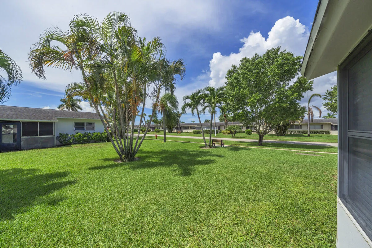 5 Backyard (1)