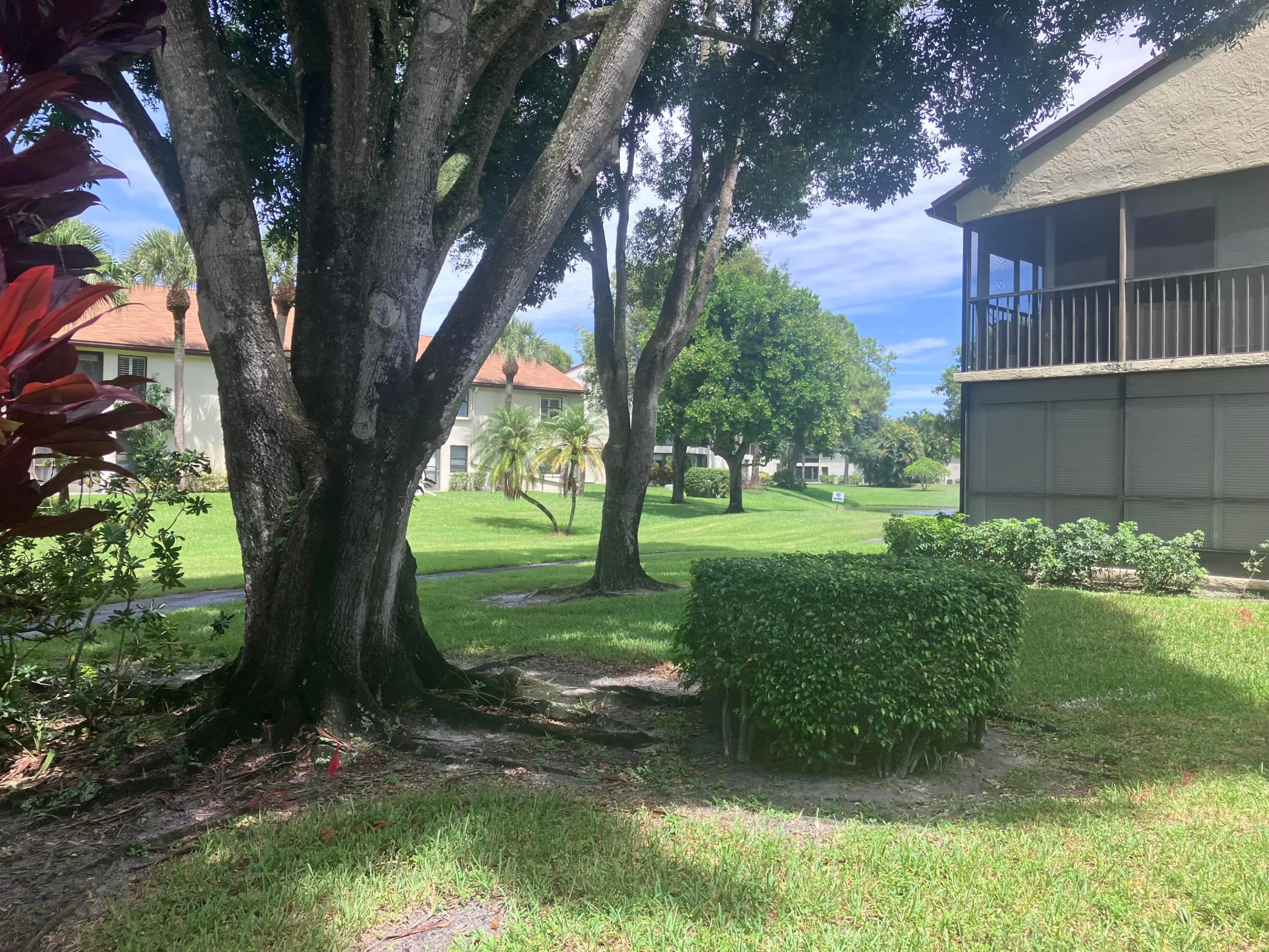 View from back patio