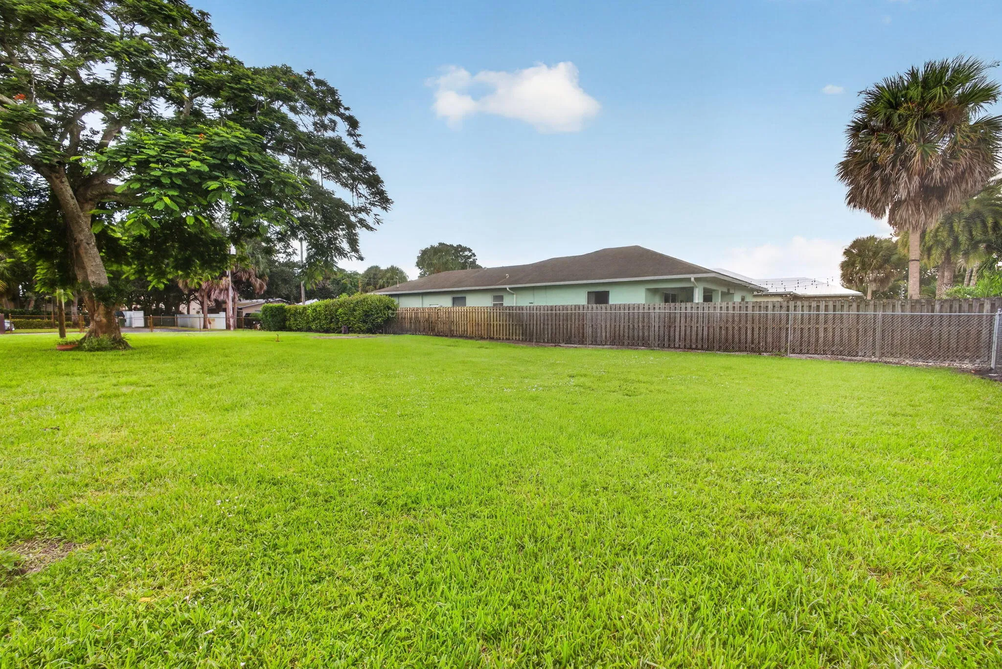 46-web-or-mls-5D1A5860