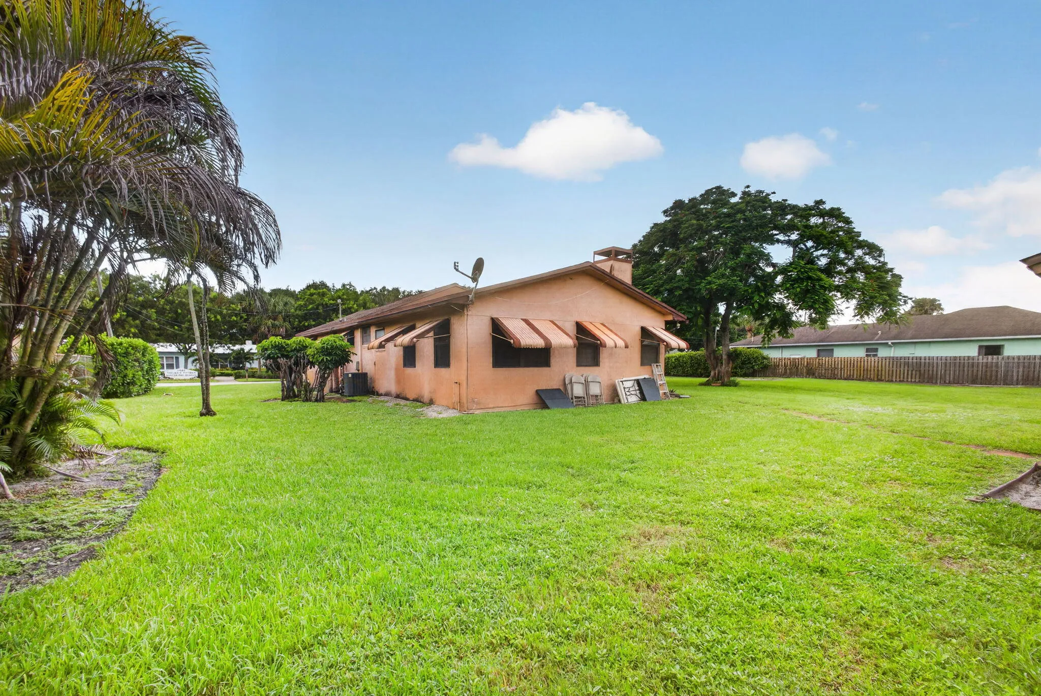 49-web-or-mls-5D1A5875