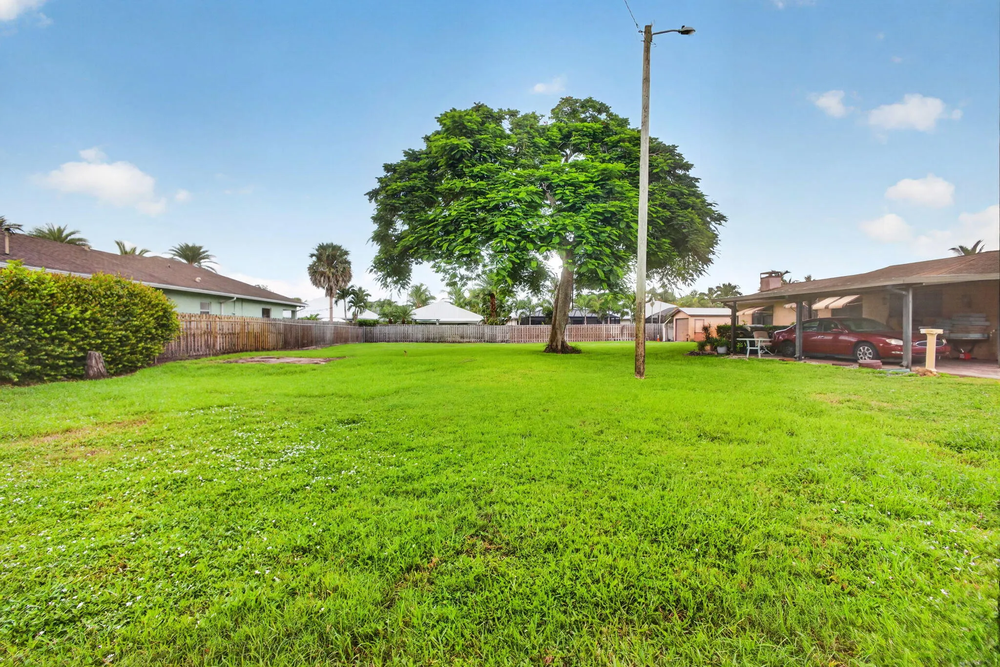 12-web-or-mls-5D1A5820