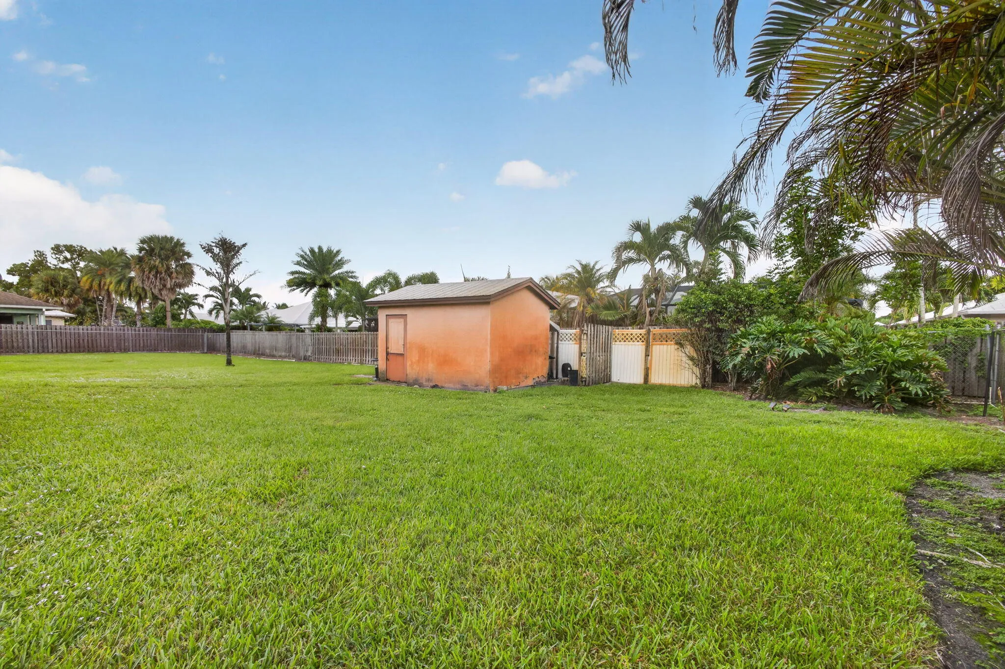 50-web-or-mls-5D1A5880
