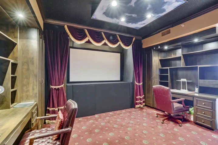 Home Theater